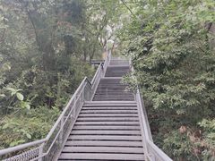 -佛山华盖山公园