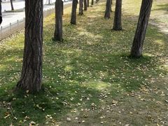 -美兰湖景区