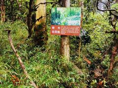 -瓦屋山景区