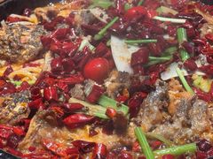 -老板恋上鱼(恒隆广场店)