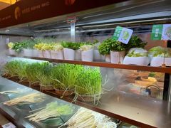 -串一火锅(赛格国际购物中心店)