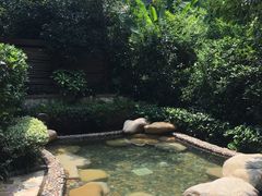 -天目湖涵田半山温泉