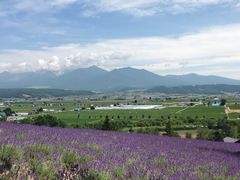 -富田农场
