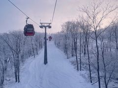 -中旅松花湖滑雪场