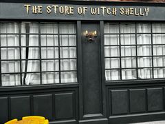 -雪灵魔法世界SHELLY’S TAROT(大良桂畔里店)