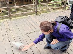 -海南槟榔谷黎苗文化旅游区