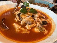 -龟兹KUCINA·新疆菜(前滩L+PLAZA店)