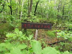 -锦河大峡谷