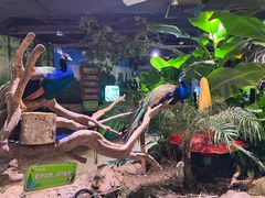 -正佳雨林生态植物园