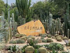 -深圳仙湖植物园