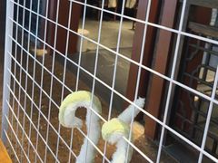 -遇见长安之高山流水(李家村万达店)