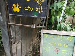 门面-猫色咖啡·猫咖