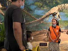 -自贡恐龙博物馆