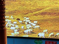 -牛犇炭火烤肉·鲜切烤肉(承德总店)