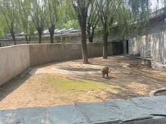 -石家庄市动物园