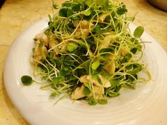 香椿苗拌桃仁-成都驻京办餐厅(蜀都宾馆店)