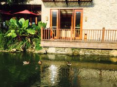 -龙山酒店温泉