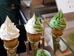 -乐天免税店(明洞店)