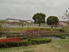 -羊山湖公园