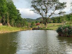 -中山市树木园