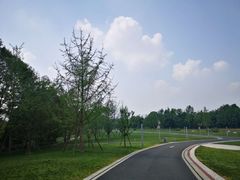 -桤木河湿地公园