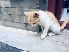 -李叔同故居纪念馆