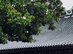 -北寺塔
