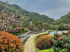 -桃花岭景区