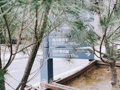 -延安杨家岭革命旧址