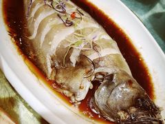 -正阳春烤鸭(华捷道店)