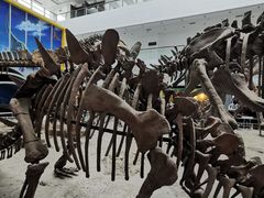 -中国地质大学逸夫博物馆