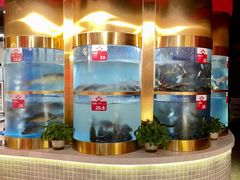 水产区-蜀滋香鲜鱼美蛙火锅(339店)