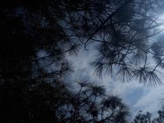 -彩色沙林风景区