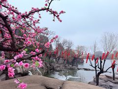 -中国翰园碑林