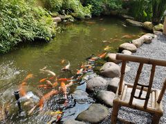 -一品烧农庄·佛山本地特色菜