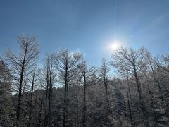-四明山国家森林公园