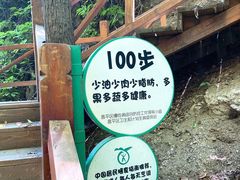 -大岭沟猕猴桃谷风景区