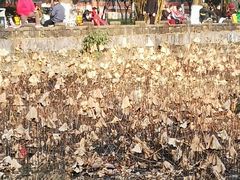 -四川大学(华西校区)