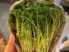 豌豆苗-钢管厂五区小郡肝火锅串串香(清河店)