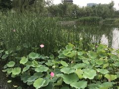 -西海子公园