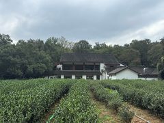 -杭州西湖风景名胜区-三生石