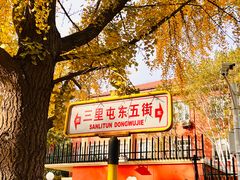 -三里屯东五街银杏大道