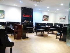 -柏斯琴行(汾阳店)