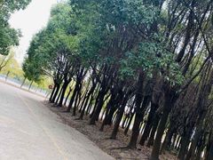 -胜华驾校·小猫学车(银都店)