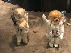 -济州岛泰迪熊博物馆