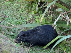 -上海海事大学(临港校区)