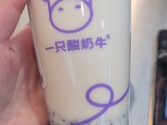 -一只酸奶牛(海珠美食街店)
