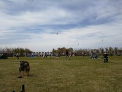 -春花秋色城市公园