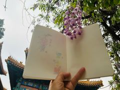 -北京国子监胡同