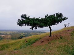 -恋山坝上草原